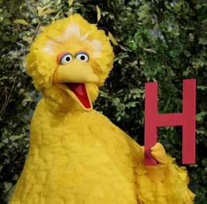 bigBird