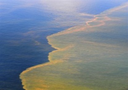 Oil Spill Picture