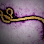 Ebola symptoms prevention