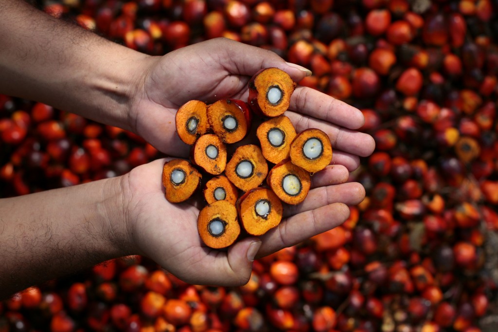 Malaysian palm oil industry standards