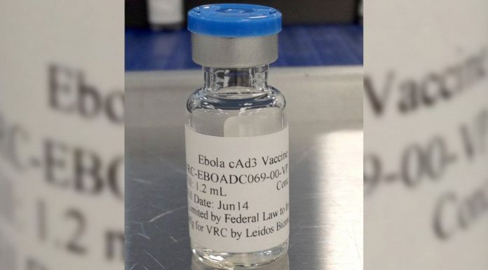 ebola on trial