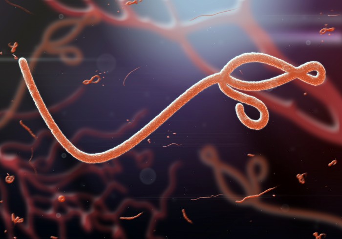 Rapid diagnostic test for Ebola