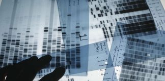 British and Australian police DNA database sharing deal