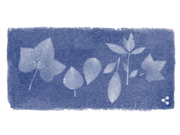 anna atkins doodle