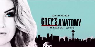 greys-anatomy-season-13-premiere