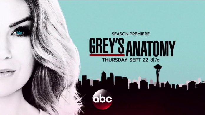 greys-anatomy-season-13-premiere